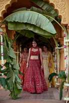 Amrita Red Raw Silk & Organza Embellished lehenga set