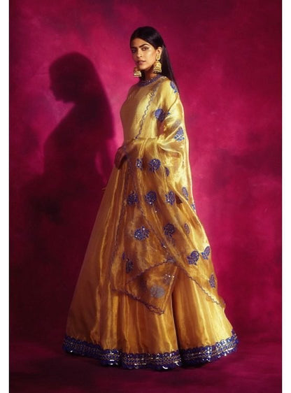 Gold Tissue Applique Anarkali Set