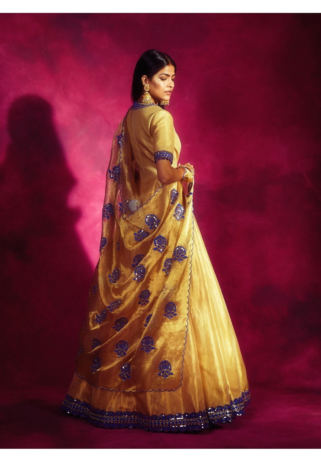 Gold Tissue Applique Anarkali Set