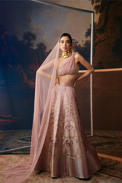 Handwoven Blush Pink Silk Lehenga