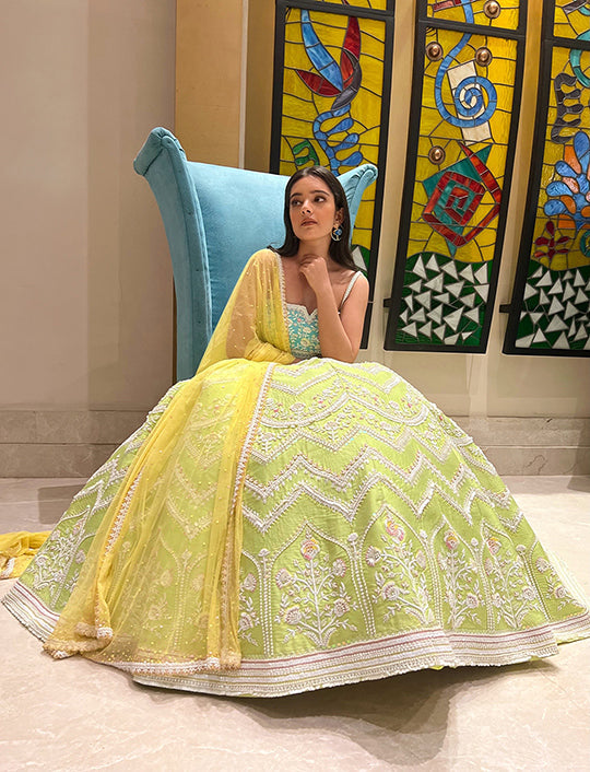 Beige Silk Taffeta Floral Embroidered Aidele Lehenga Set