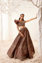 Brown Morris Satin Lehenga with Feather Shoulder Blouse
