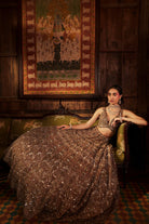 Brown Ruh Silk Hand Embroidered Lehenga