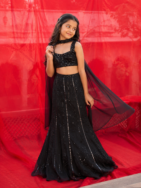Dusk Willow Black Lehenga Set