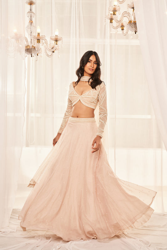 Dusty Beige Lehenga Set