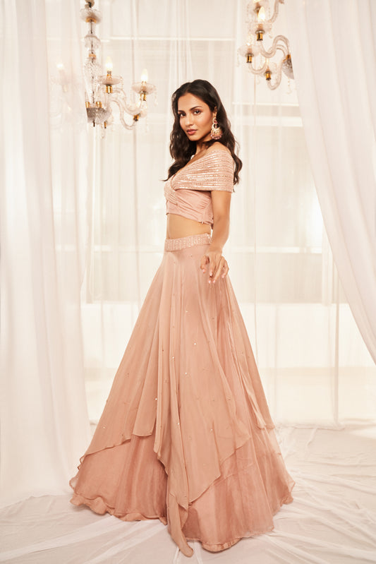 Blush Pink Lehenga Set