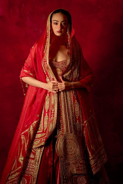 ‘Raanjhan Aaya’ Lehenga