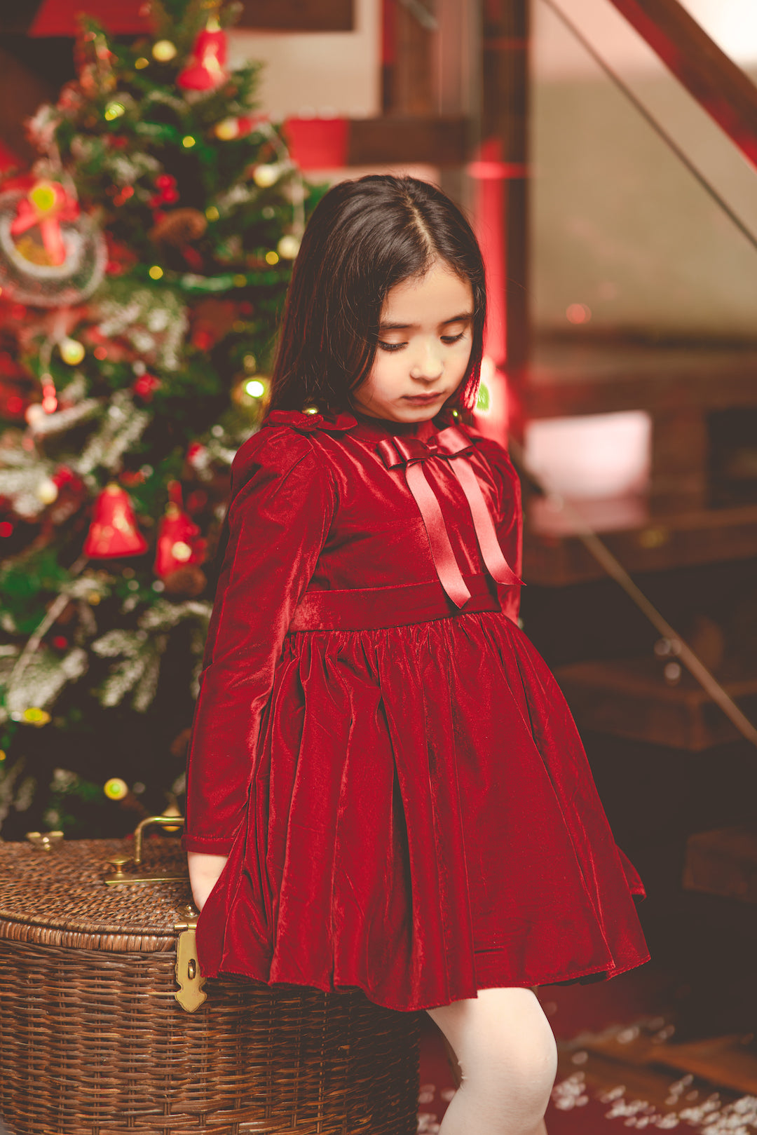 CHARLOTTE DRESS - The Pony & Peony Co.