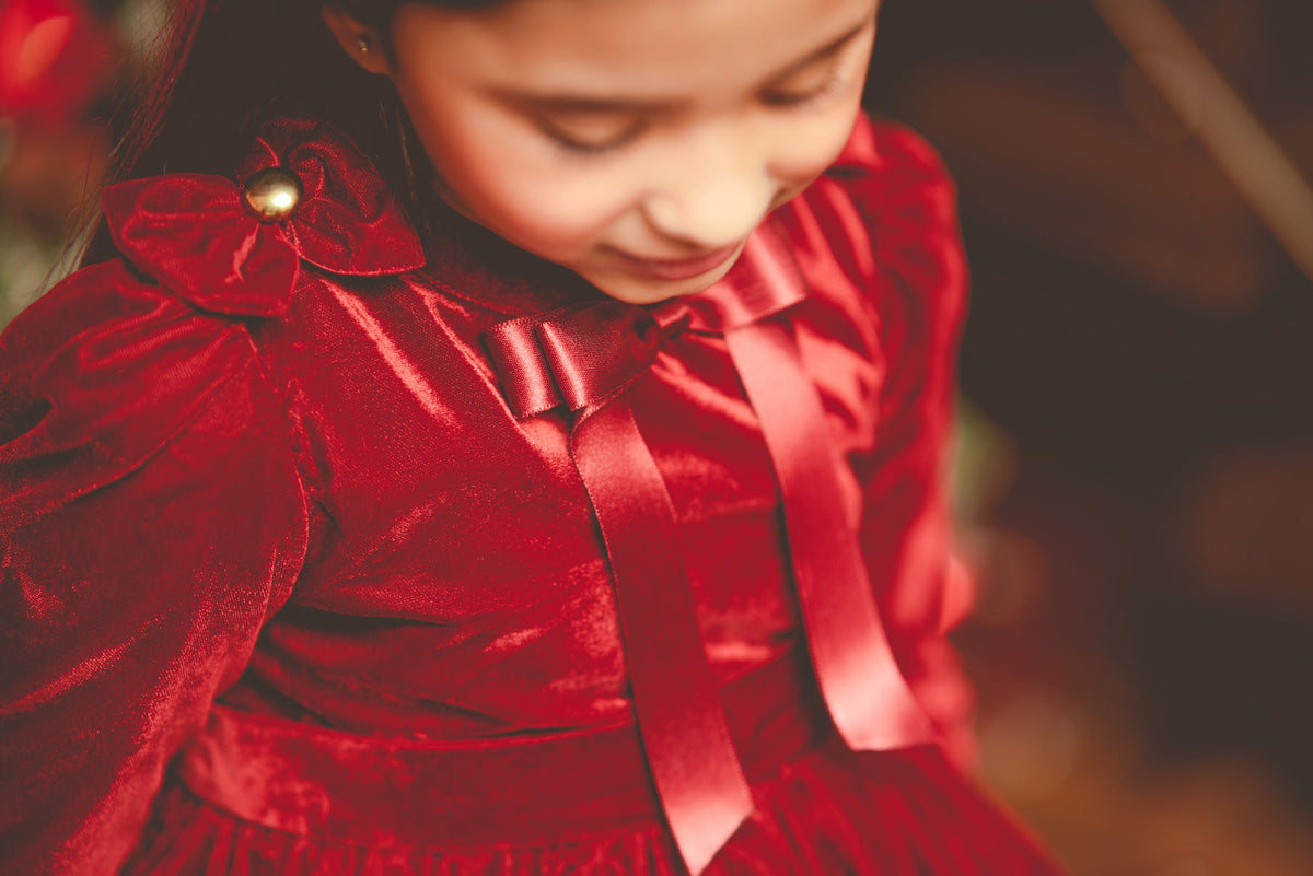 CHARLOTTE DRESS - The Pony & Peony Co.