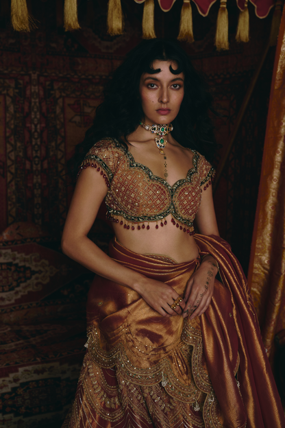 Rust Orange Pure Tissue and Maroon Velvet Lehenga Set