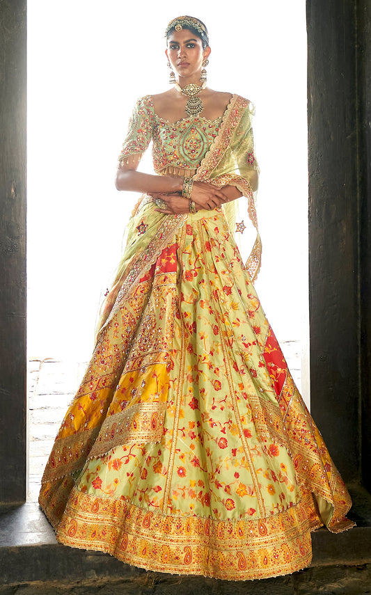 Pista kani Embroidered Lehenga
