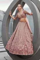 Full front view of Raw Silk Butterfly Net Aiza Bridal Lehenga Set