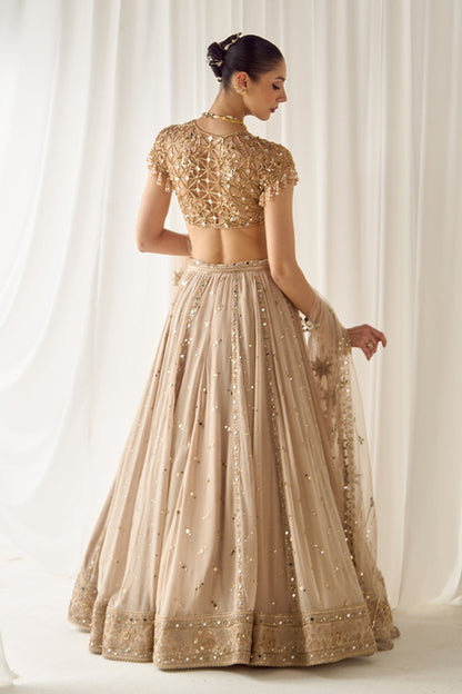 Biege Mukaish and Mirrorwork Lehenga Set