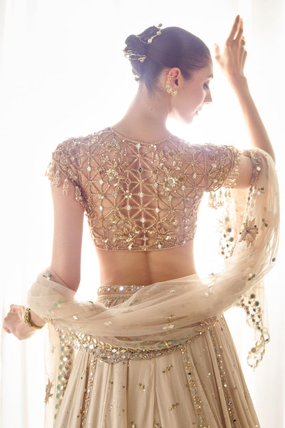Biege Mukaish and Mirrorwork Lehenga Set