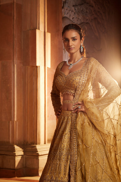 Gold Organza Lehenga Choli Dupatta with Worked Belt
