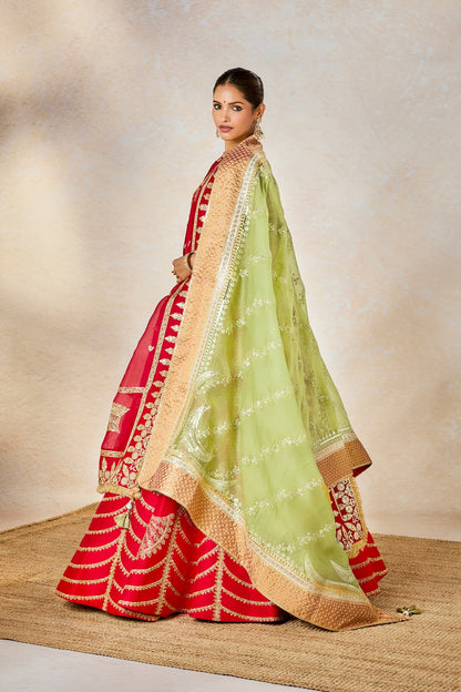 Anar Dana Lehenga