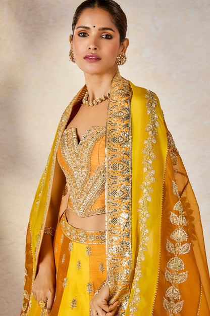 The Son Patissa Lehenga