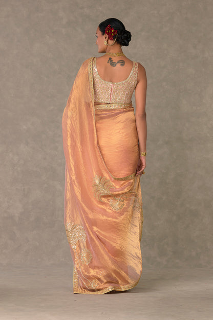 Shahi Tukda Tissue Saree
