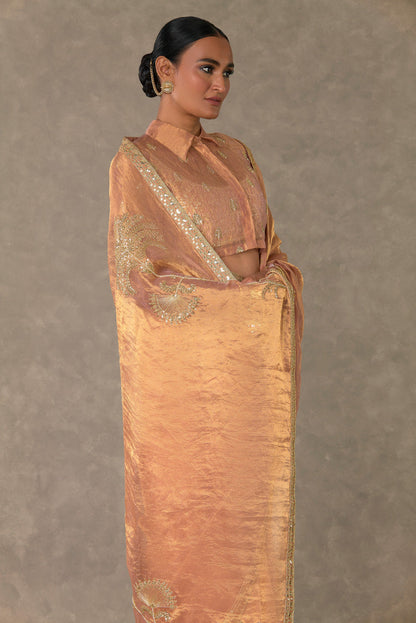 Shahi Tukda Tissue Saree