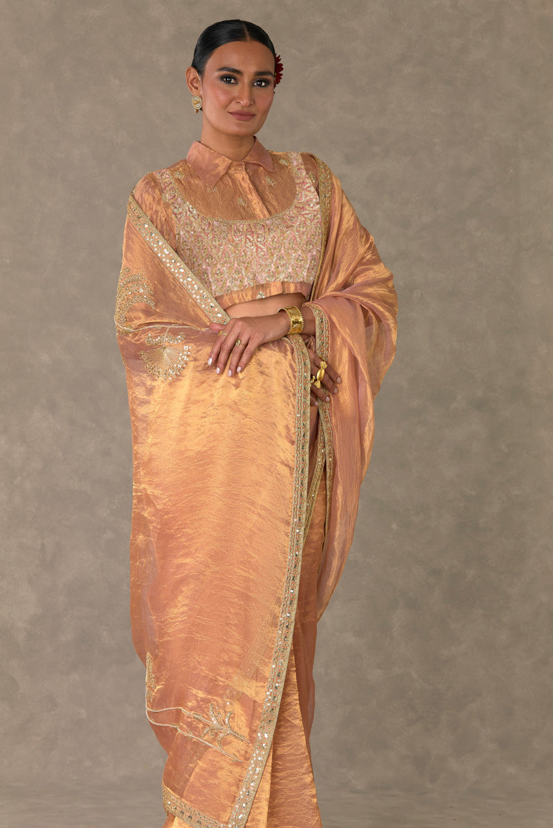 Shahi Tukda Tissue Saree