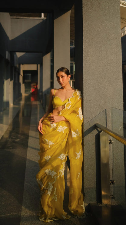 Upalina Gupta in Moss Green Flower Saree Set