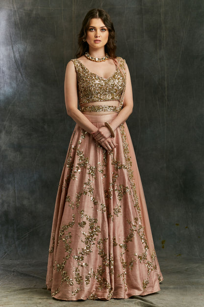 Pink Sequin Jaal Lehenga