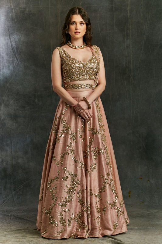 Pink Sequin Jaal Lehenga