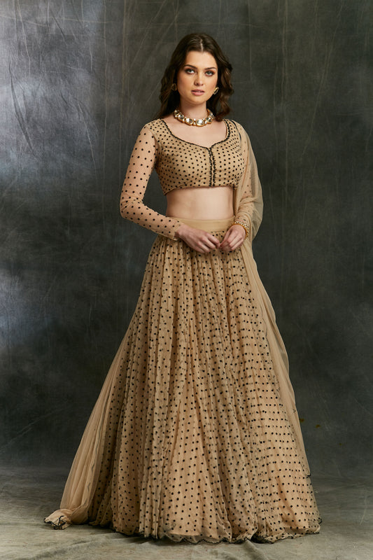 Beige And Black Polka Dotted Lehenga
