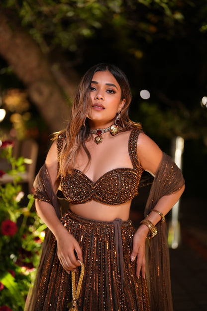 RIYA JAIN In Copper crystal Linear embroidered Lehenga set