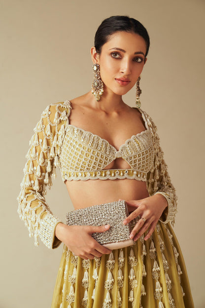 Piroi Fern Green Chandelier Pearl Drop Lehenga set (NEHA SHETTY)