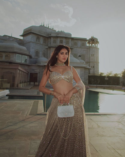 RADHIKA SETHH In Light Beige mirror Embroidered Jugmug Lehenga Set