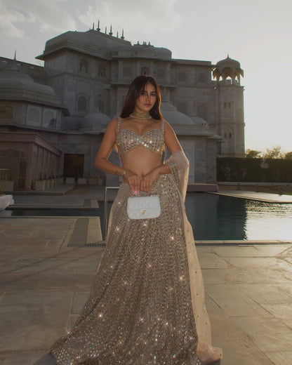 RADHIKA SETHH In Light Beige mirror Embroidered Jugmug Lehenga Set