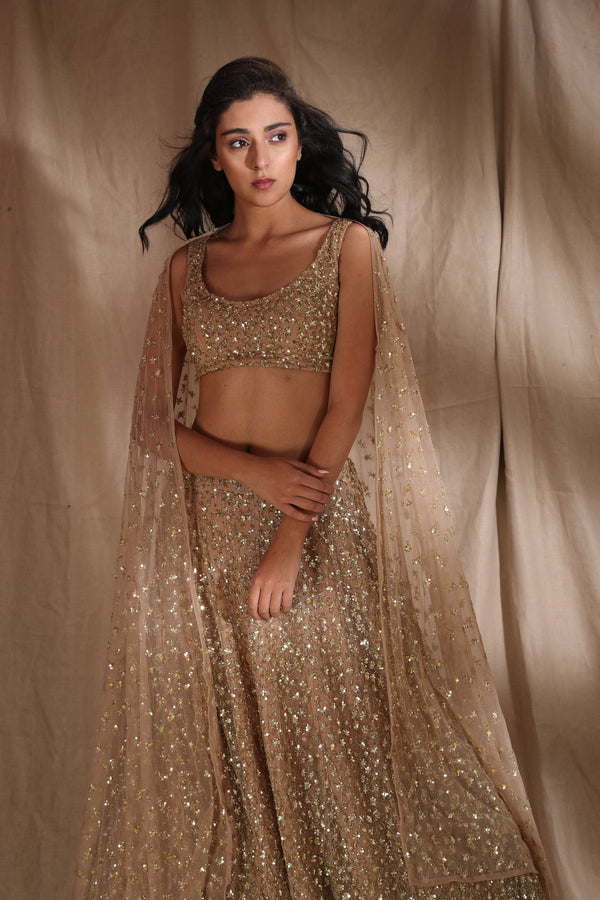 Gold Shimmer Lehenga Set