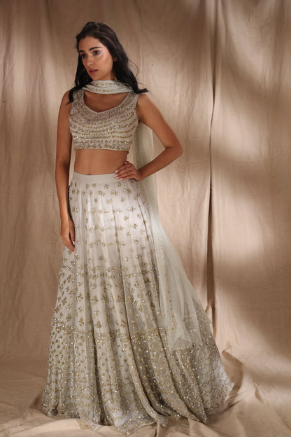 Grey And Silver Sequin Lehenga