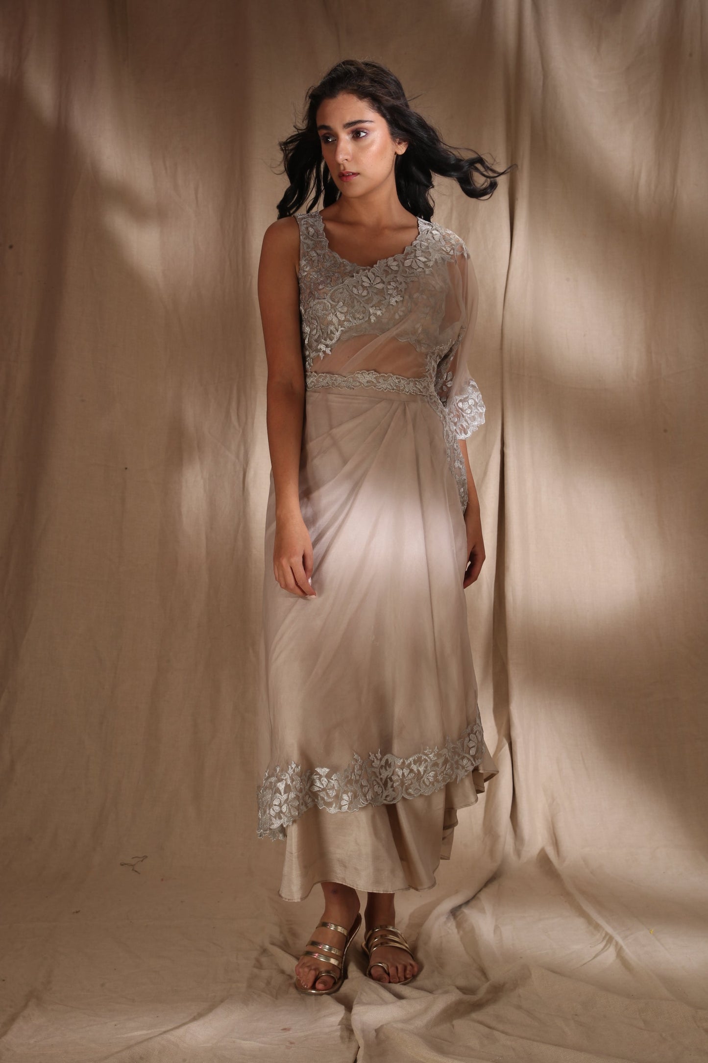 Silver And Light Gold Saree