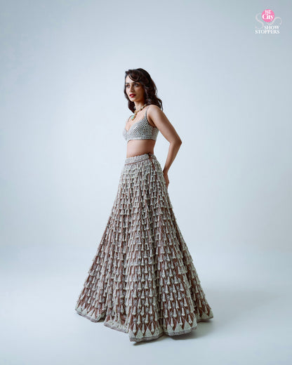 MANUSHI CHILLAR IN PEARL DROP LEHENGA SET