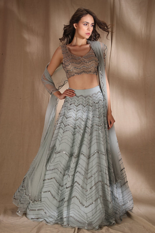 Sky Blue Organza Lehenga