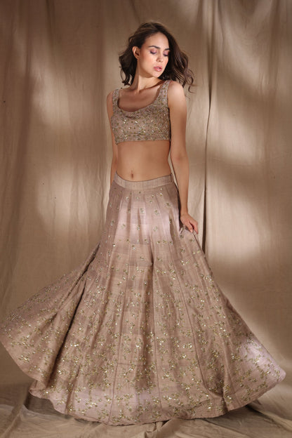 Grey Brown Raw Silk Lehenga