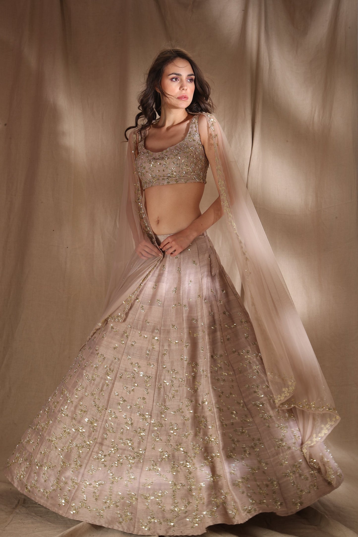 Grey Brown Raw Silk Lehenga