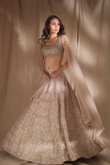 Grey Brown Raw Silk Lehenga