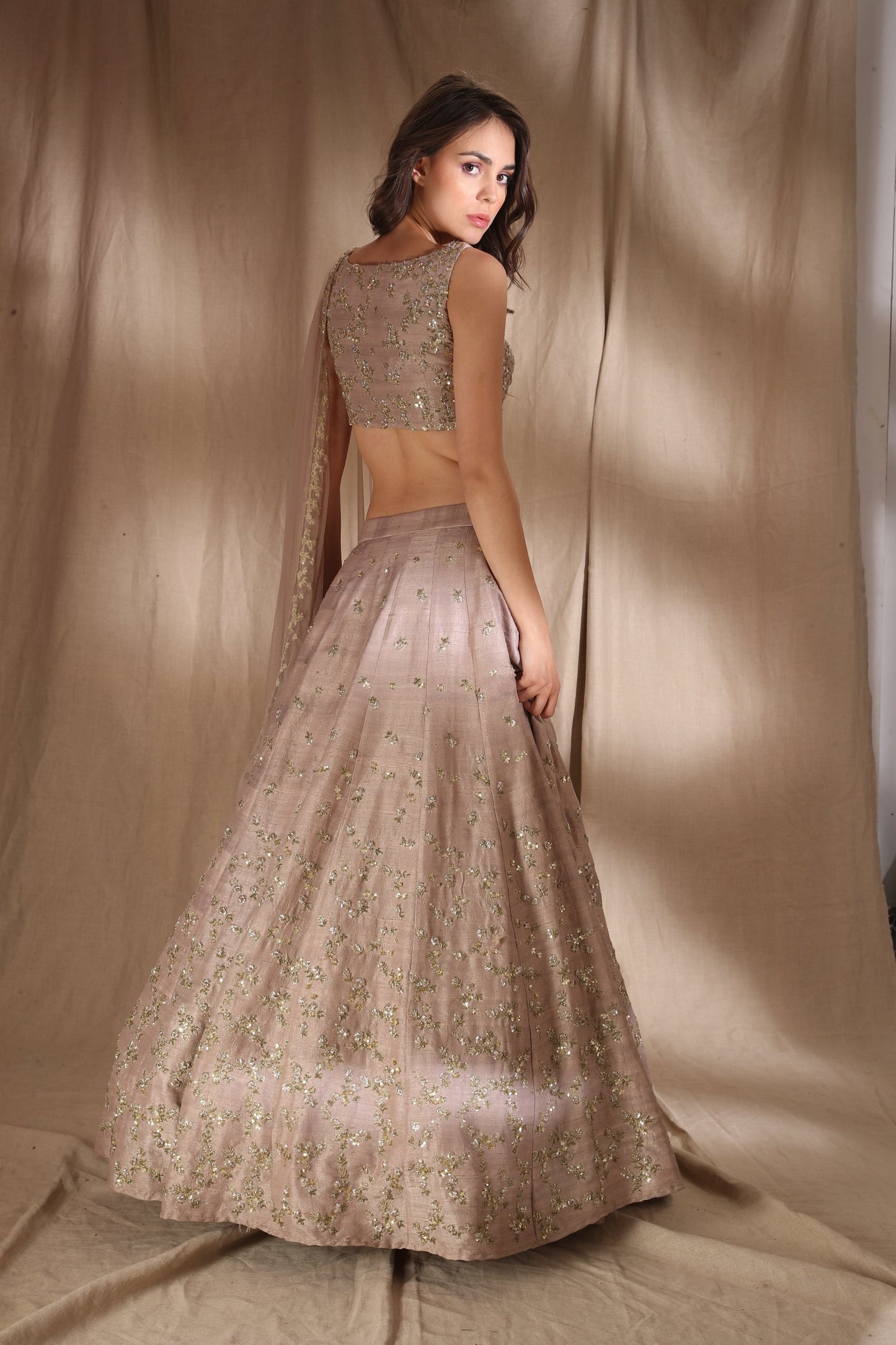 Grey Brown Raw Silk Lehenga