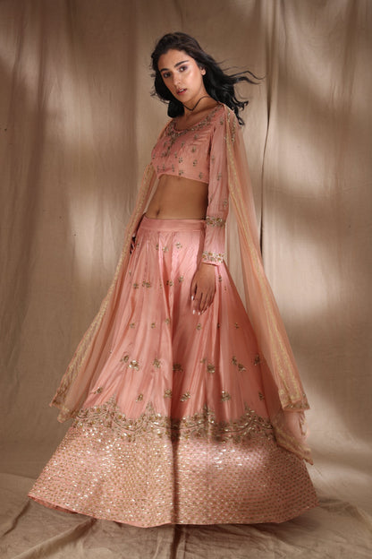 Pink Zari Silk Lehenga
