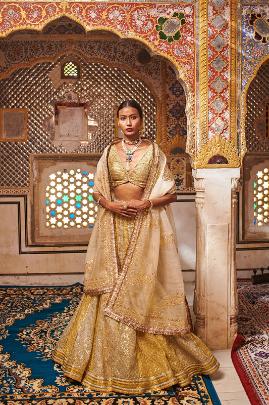 Riyaaz Lehenga Set