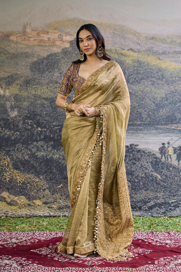 Zarvika Fusion Tissue Saree Set