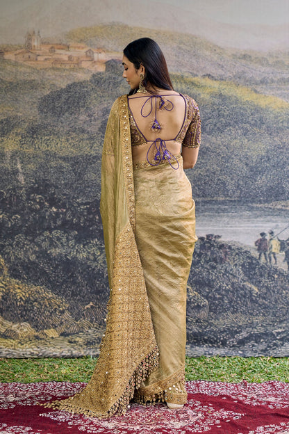Zarvika Fusion Tissue Saree Set