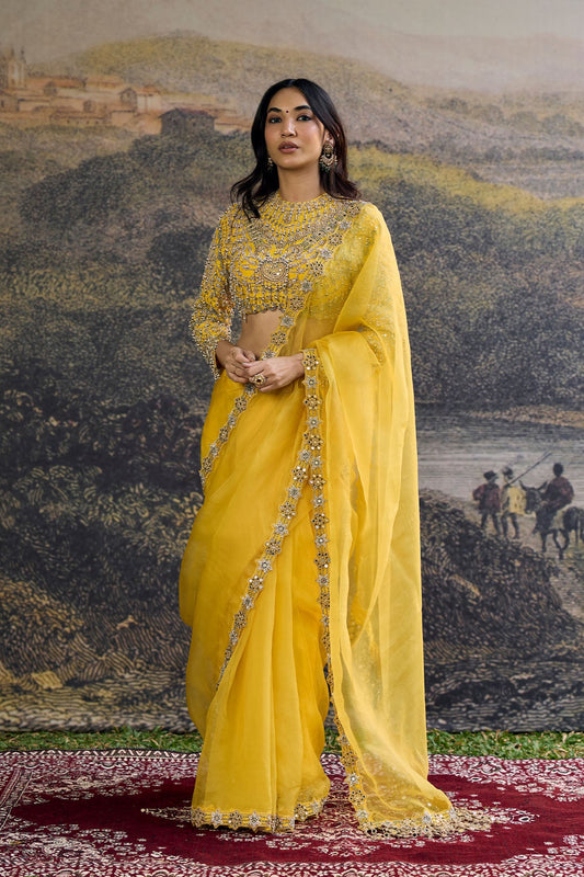 Peela Tara Organza Saree Set