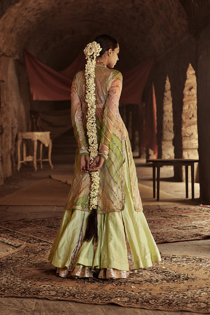 Umeed Sharara Jacket Set