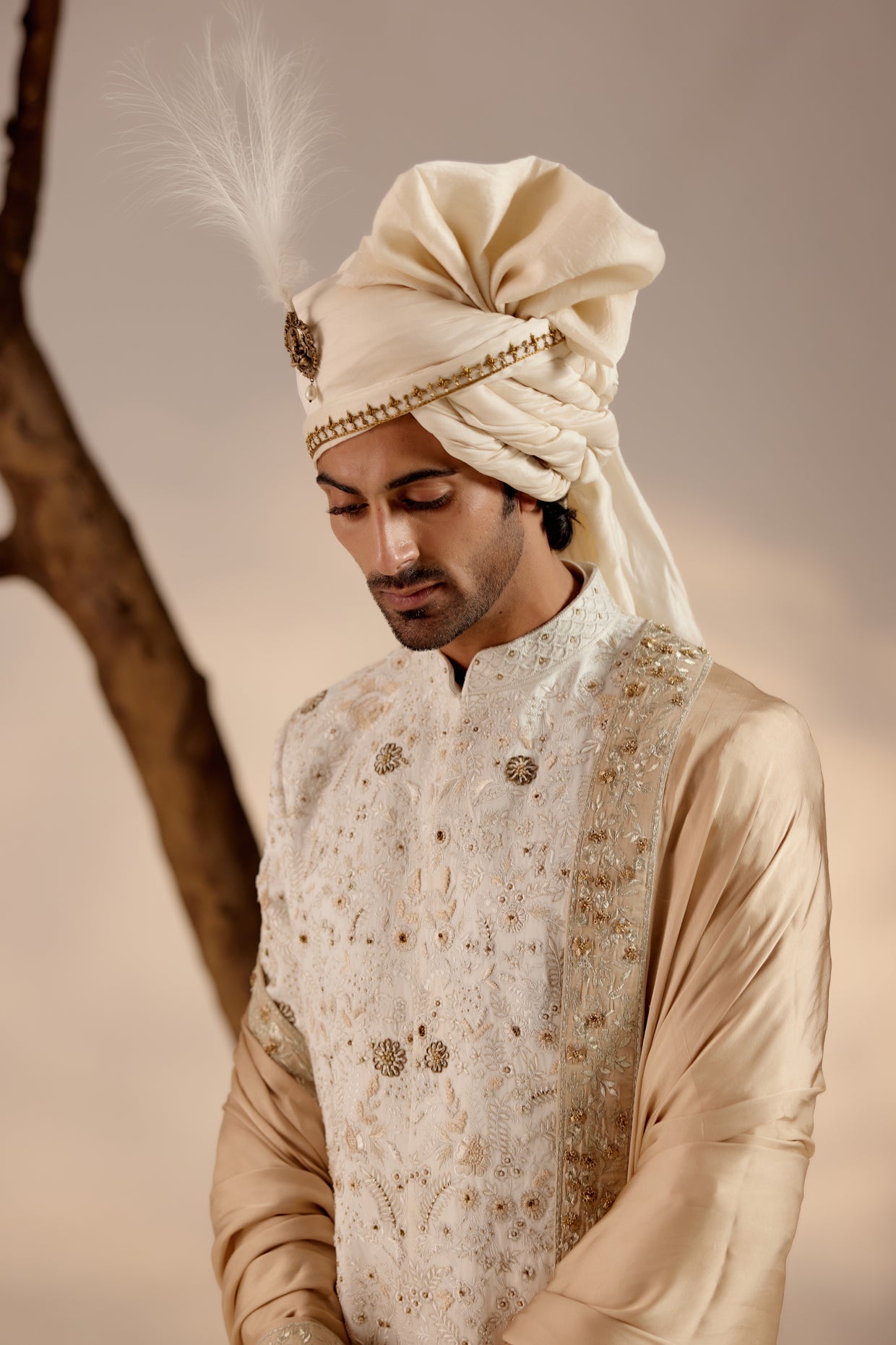 Ivory & Gold Sherwani
