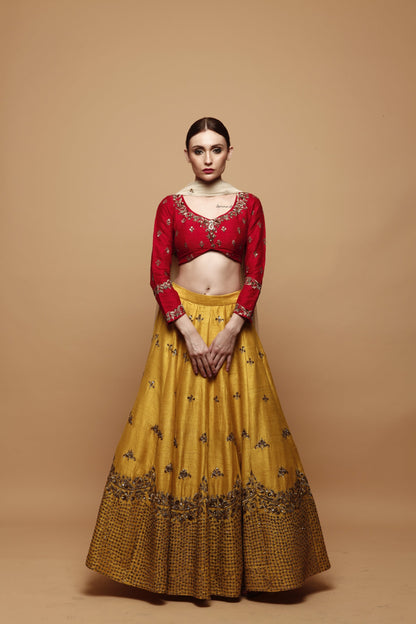 Mustard Yellow Lehenga With Red Blouse