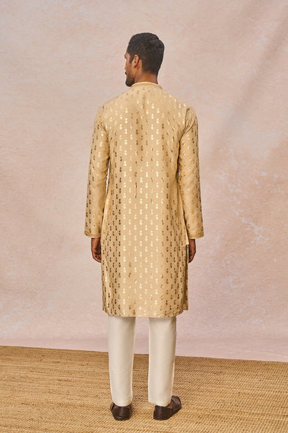 Beige Pixie Dust Kurta Set